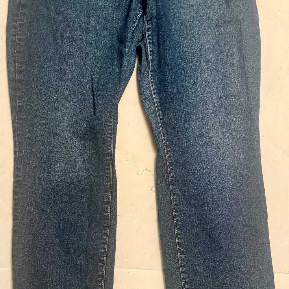 GAP Women's Classic Blue Jeggings